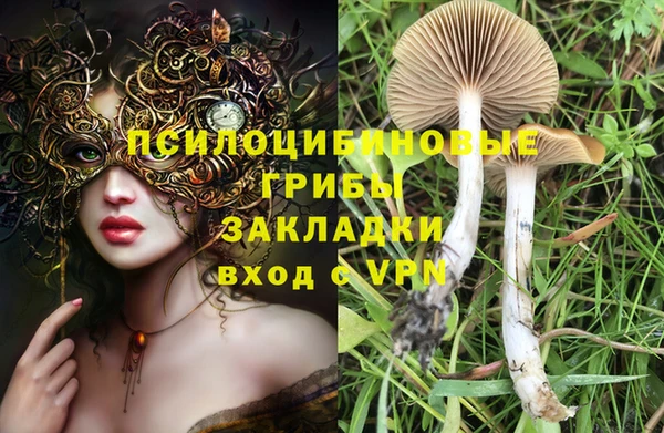 первитин Козловка