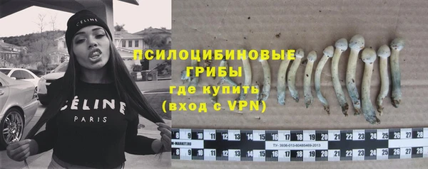 индика Кодинск