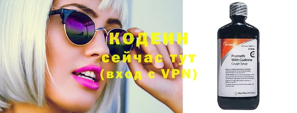 индика Кодинск