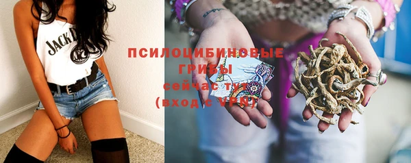 первитин Козловка