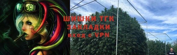 индика Кодинск