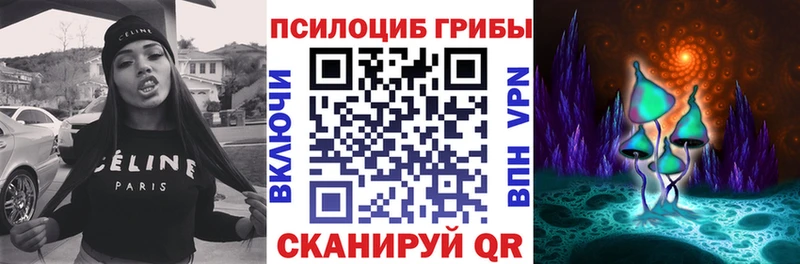 Купить  Шенкурск  Псилоцибиновые грибы мицелий 